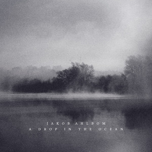 又爽❌又黄❌拔萝卜视频软件
